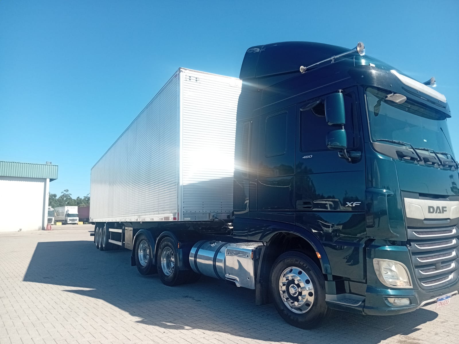 Cavalo mecânico verde em lateral